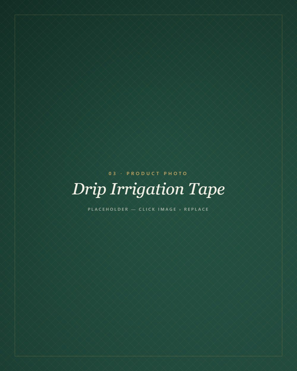 Drip irrigation tape laid along crop rows